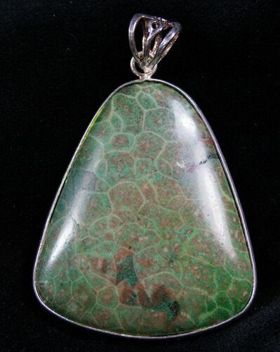 Green Fossil Coral Pendant - Million Years Old #7706